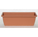 Vaso standard