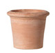 Vaso standard
