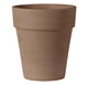Vaso standard